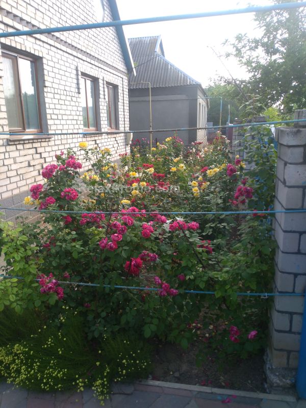 Проститутки Николаева : Костя – фото 1