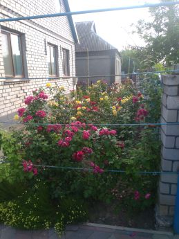 Проститутка Николаева : Костя – фото 1